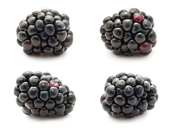 Blackberry — Stock Photo, Image