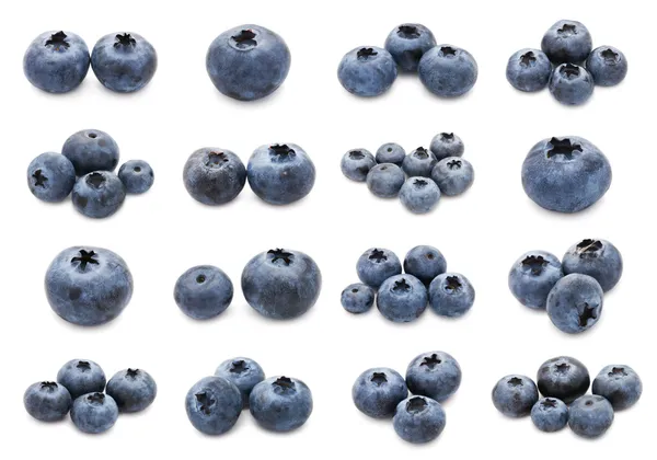 Blaubeeren-Set — Stockfoto