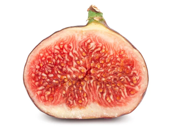 Fig.. — Foto de Stock