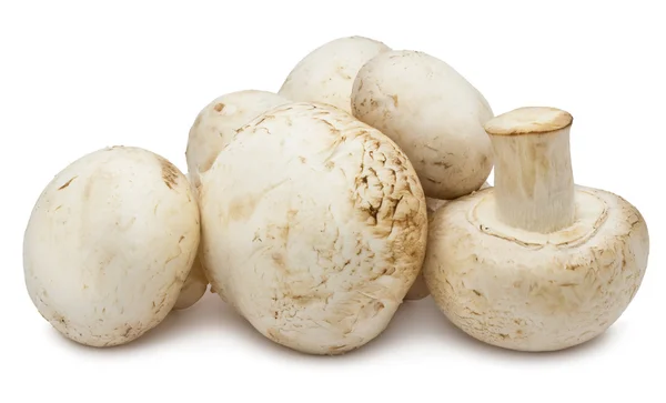 Funghi Champignon — Foto Stock