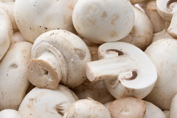 Champignon mushrooms Stock Image