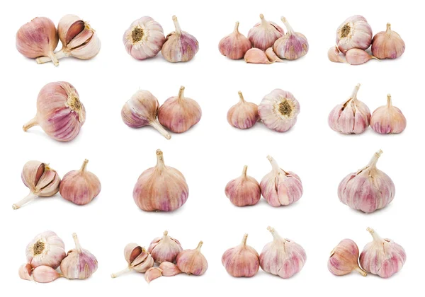 Knoblauch — Stockfoto