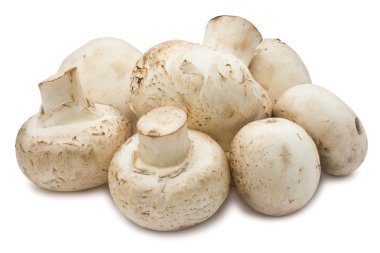 champignon mantarları