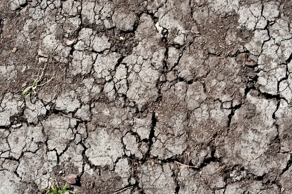Terra com rachaduras secas — Fotografia de Stock