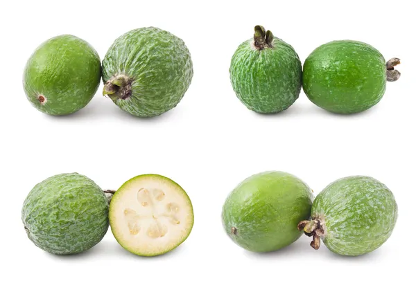 Feijoa — Stock fotografie