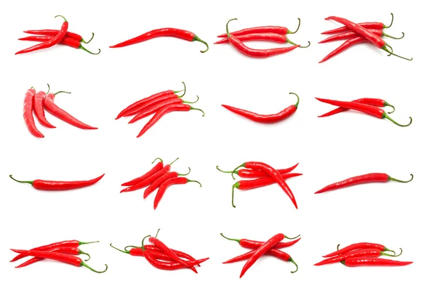 Chili paprika — Stockfoto