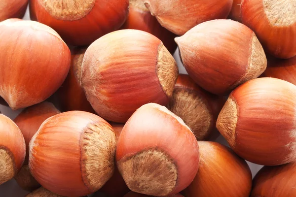 Hazelnuts or filbert — Stock Photo, Image