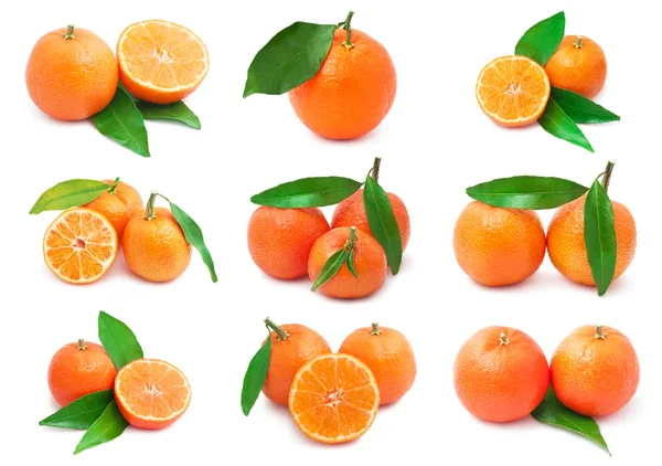 Mandarins — Stock Photo, Image