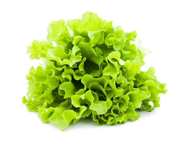 Lettuce