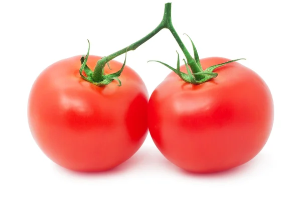 Tomaten — Stockfoto