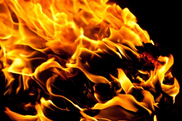 Fire — Stock Photo, Image