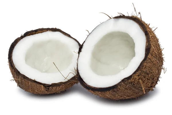 Orzechy kokosowe Obraz Stockowy