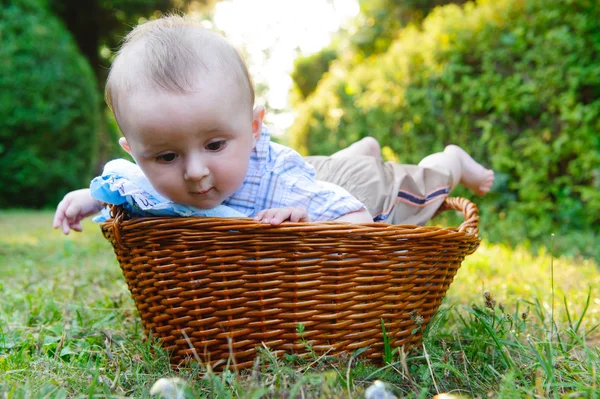 Baby in basket — Stock Photo, Image