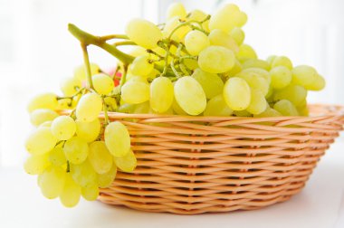 beyaz üzüm