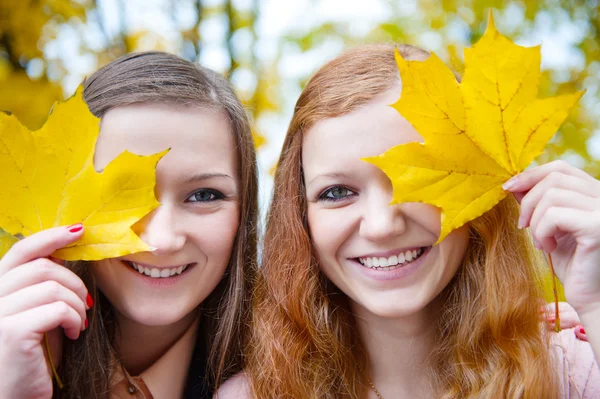 Two girls hiding faces behind maple leaves Stock Photo