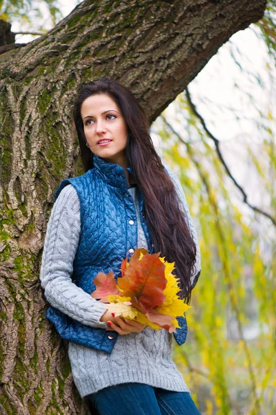 Beautiful girl holding yellow autumn leaves — Stock Photo, Image