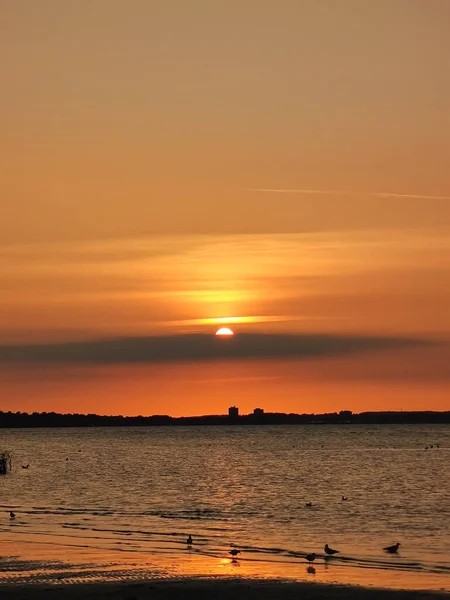 Θαλάσσιο Τοπίο Χρυσαφί Ηλιοβασίλεμα Στη Βαλτική Θάλασσα Στη Βόρεια Γερμανία — Φωτογραφία Αρχείου