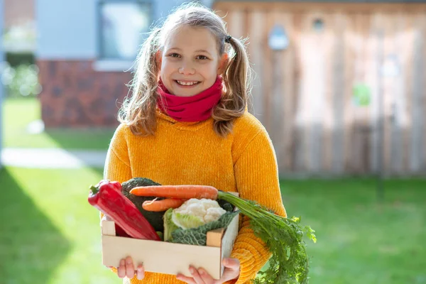 Portret Van Schattig Klein Meisje Met Grappige Staarten Met Houten — Stockfoto