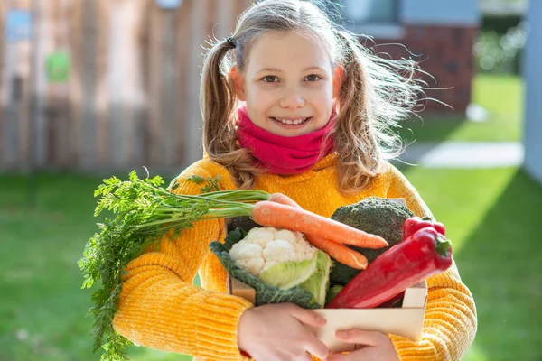 可愛いですティーン子供女の子保持木の箱で野菜収穫とともに晴れた日 — ストック写真