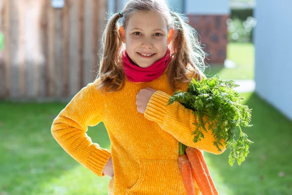 Cute Little Child Girl Holding Bunch Fresh Carrot Rural Garten — Stock Photo, Image