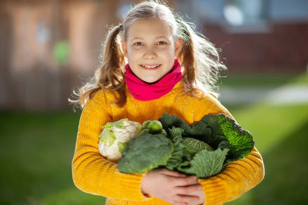 Niña Divertida Con Dos Coletas Amarillo Sonriendo Con Cosecha Otoño — Foto de Stock