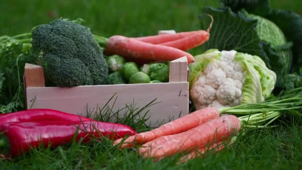 Video Van Verse Kleurrijke Bio Groenten Houten Doos Groen Gras — Stockvideo