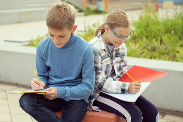 Male Female Classmates Studying School Yard Classes — Stock Photo, Image