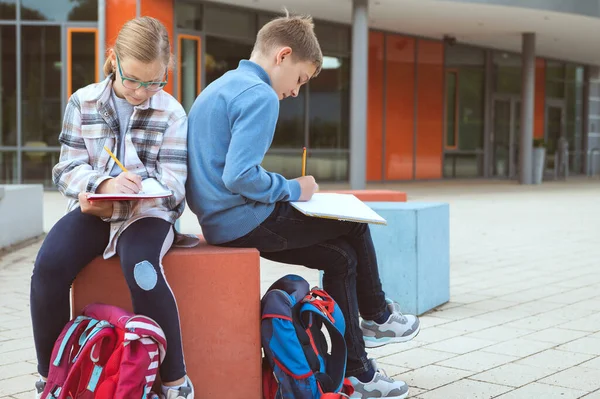 Manliga Och Kvinnliga Klasskamrater Studerar Skolgården Efter Lektionerna — Stockfoto