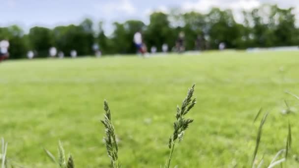 60Fps European Pean Soccer Game Match Teen Boys Green Grass — 비디오