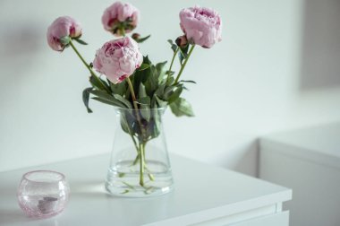 Güzel pastel pembe şakayıklar vazonun içinde beyaz minimalist iç kısımda