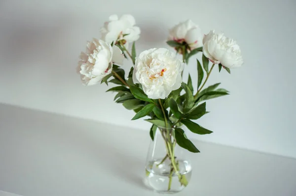 Closeup Photo White Fluffy Peonies Bouquet White Interior — Stock Photo, Image