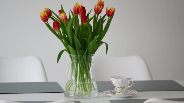 Prachtige Rode Gele Tulpen Vaas Tafel Koffiebeker Moderne Woonkamer Vroeg — Stockvideo