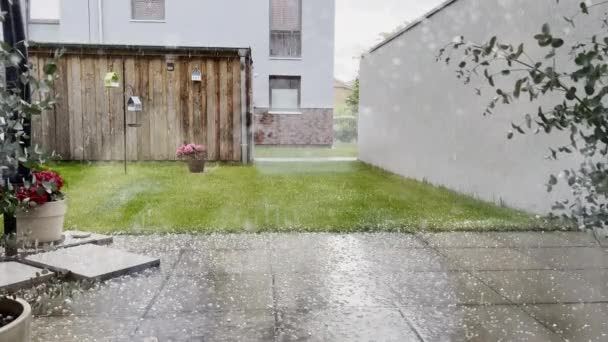 Video Granizo Cayendo Lluvia Terras Modernas Con Flores Verano — Vídeos de Stock