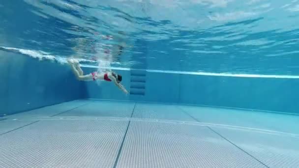 Video Little Girl Swimsuit Swimming Underwater Blue Swimming Pool Sunny — Vídeos de Stock