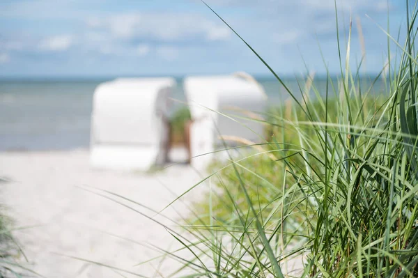 Romantyczna Scena Morska Białej Plaży Wiklinowym Krzesłem Plażowym Letni Słoneczny — Zdjęcie stockowe