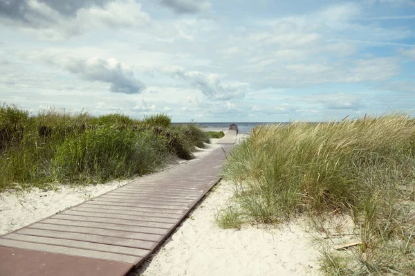 Photo Pathway White Beach Green Dune Grass Baltic Sea North —  Fotos de Stock