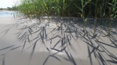 4K video of texture of sand with pattern shadows of dunes grass at sea. Meditation nature