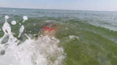 4K video under water of jellyfish at sunny day and light pattern on sand