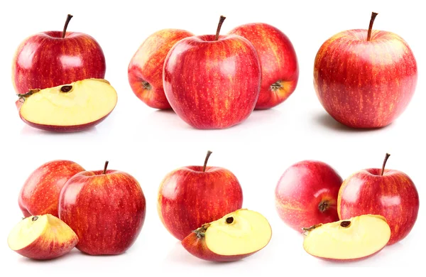 Колаж з яблук Стокове Зображення