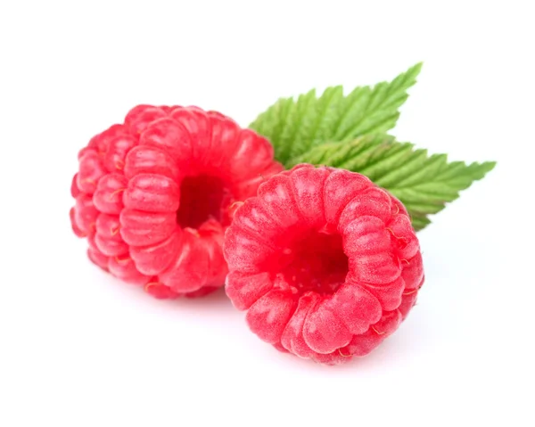 Sweet raspberry with leaves — Stock Photo, Image