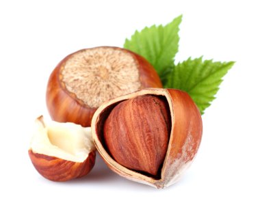 yaprakları ile fındık