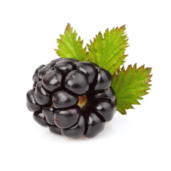 Ripe blackberry with leaf — Stock Photo, Image