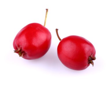 Hawthorn içinde closeup