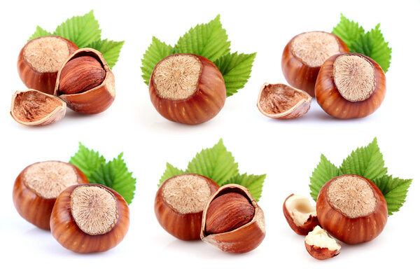 Коллаж из сушеного фильберта
