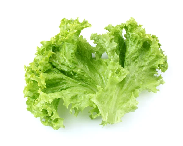 Grüner Salat — Stockfoto