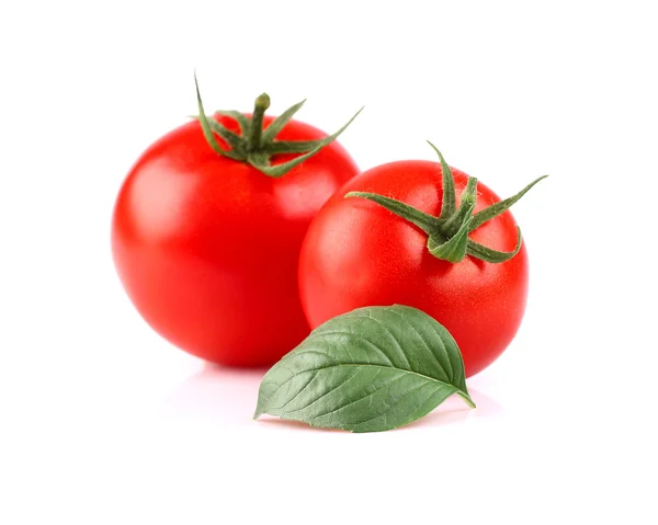 Ripe tomato with basil — Stock Photo, Image