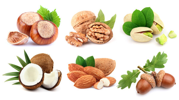 Спелые орехи крупным планом
