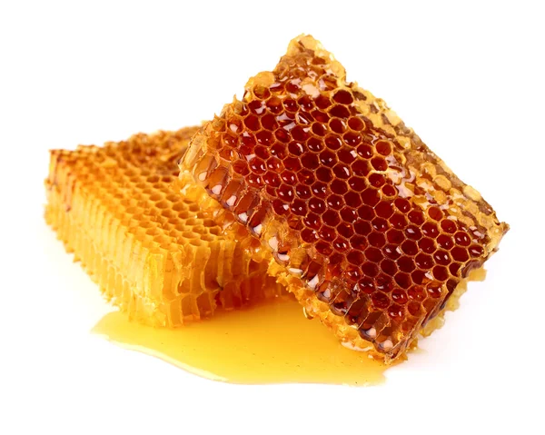 Fresh honeycombs — Stock Photo, Image