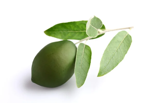 Măsline verzi cu frunze — Fotografie, imagine de stoc