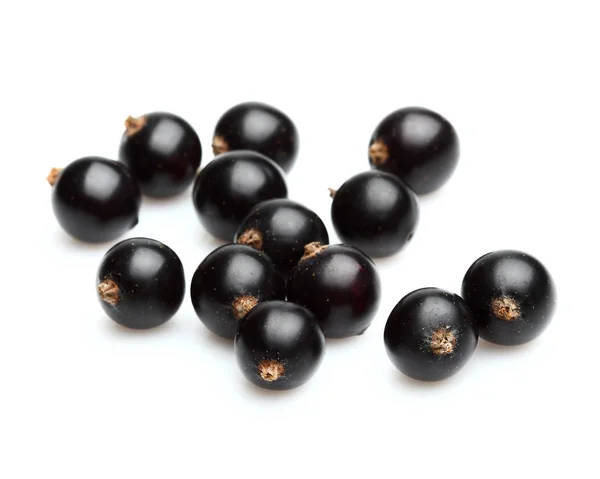 Blackcurrant Berry — Stok fotoğraf